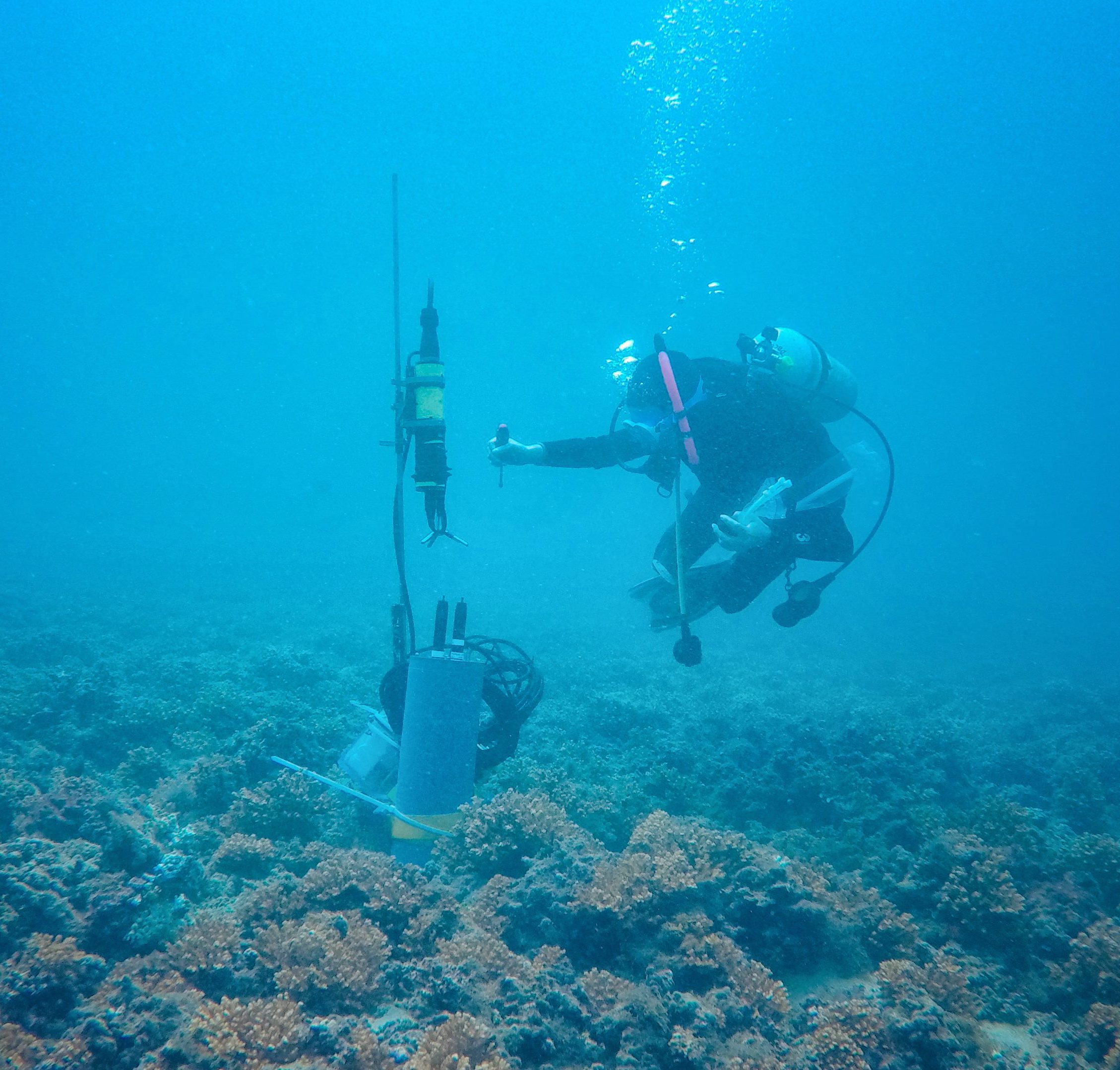 Measuring metabolism of recovering coral reefs off Panamá